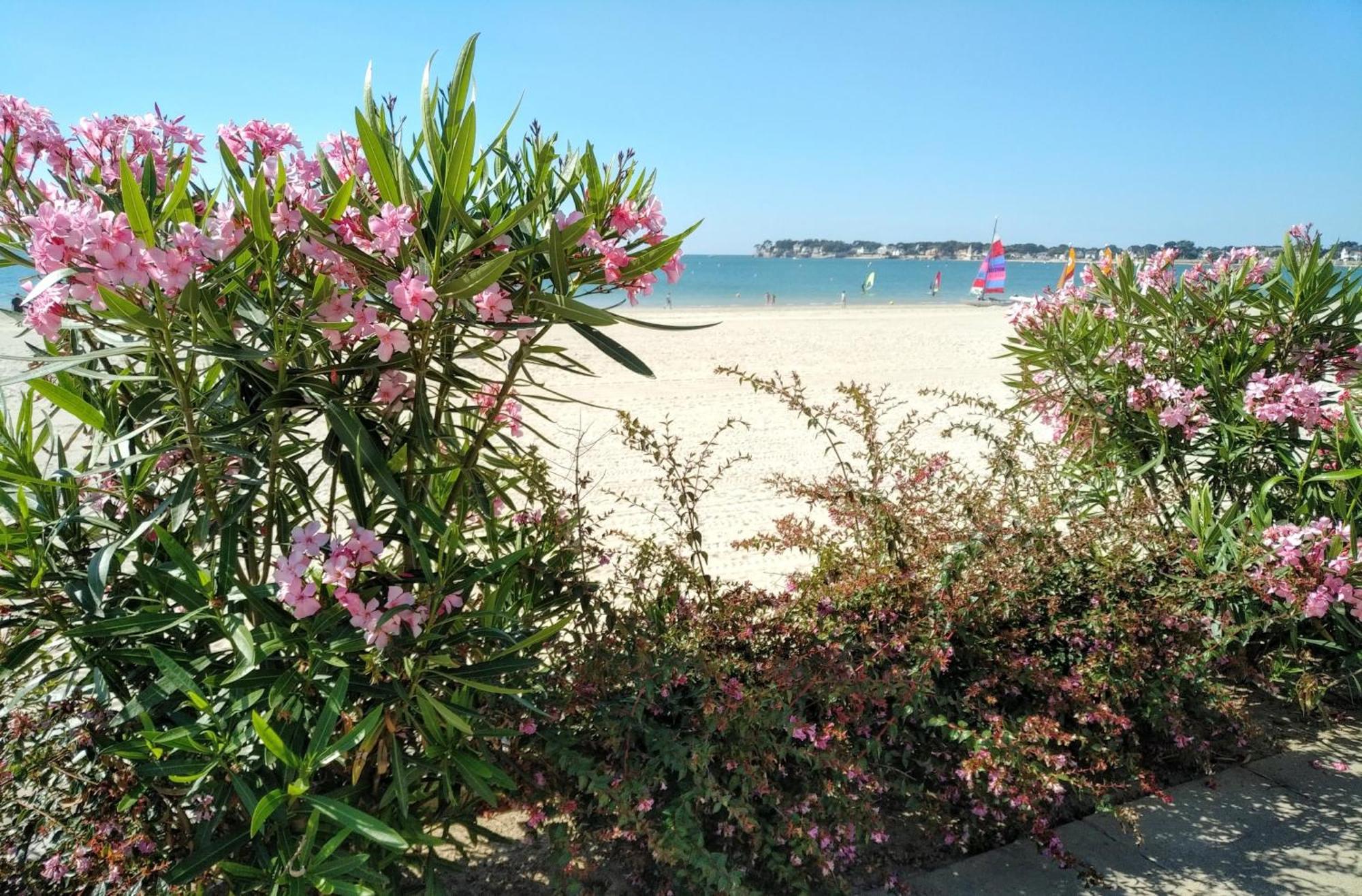 Le Capitole - Studio Plage Benoit Dans Residence Face Mer La Baule Екстериор снимка